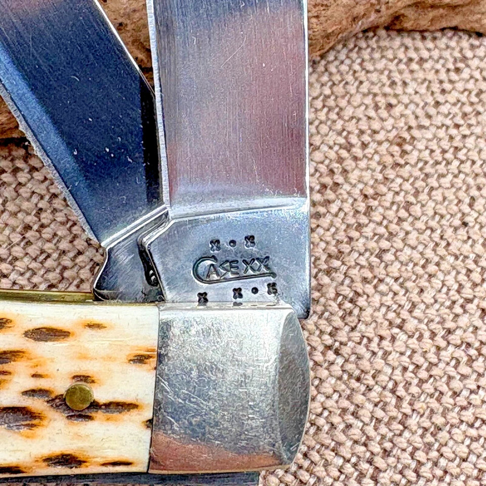 Case XX Trapper 6254 SS Folding Pocket Knife W/Amber Jigged Bone 2003 2 blade 98